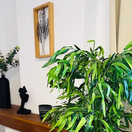Apartamento Du Mas - Rose Marie