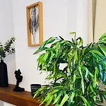 Apartment Du Mas - Rose Marie